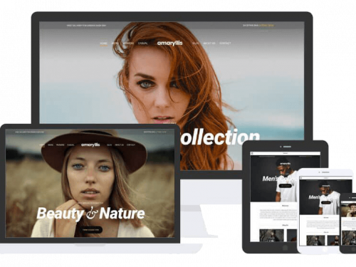 Amaryllis Theme by Css Igniter Themes