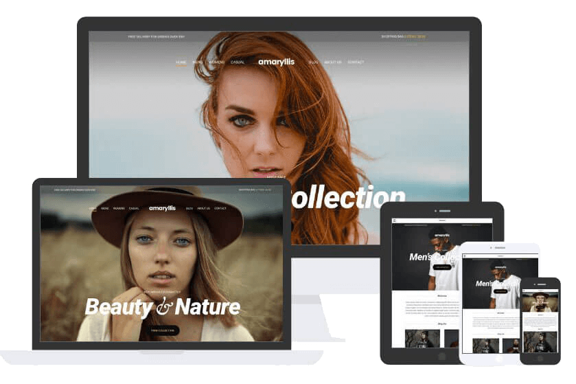 Amaryllis Theme by Css Igniter Themes