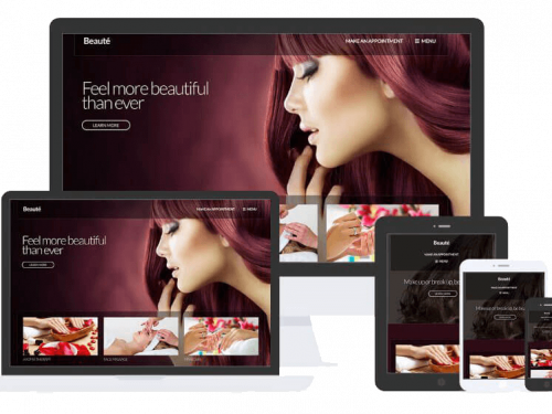 Beaute Theme by Css Igniter Themes