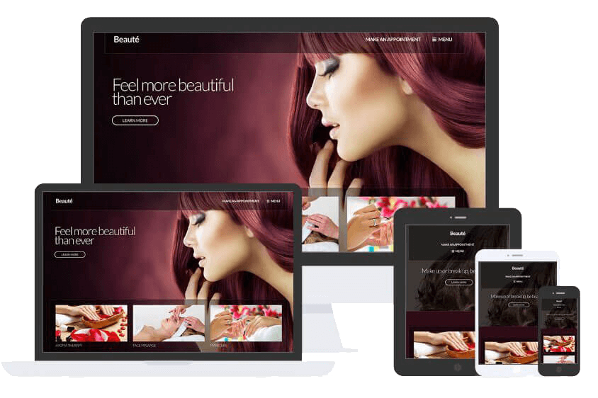 Beaute Theme by Css Igniter Themes