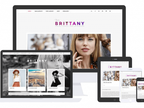 Brittany Theme by Css Igniter Themes