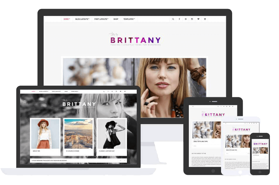 Brittany Theme by Css Igniter Themes