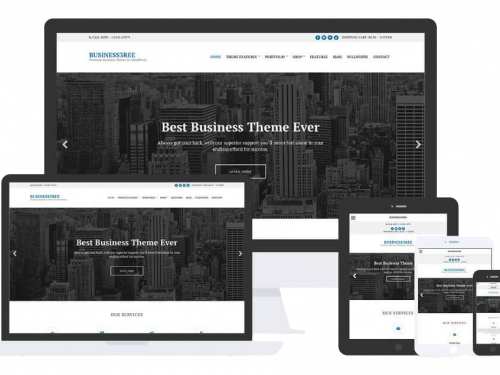 Business3ree Theme by Css Igniter Themes