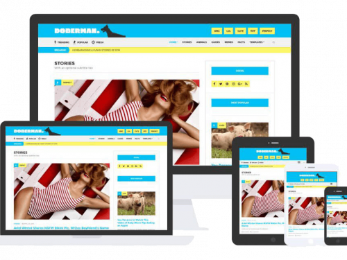 Doberman Theme by Css Igniter Themes