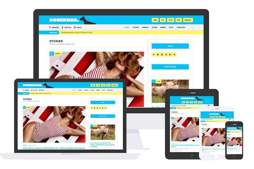 Doberman Theme by Css Igniter Themes