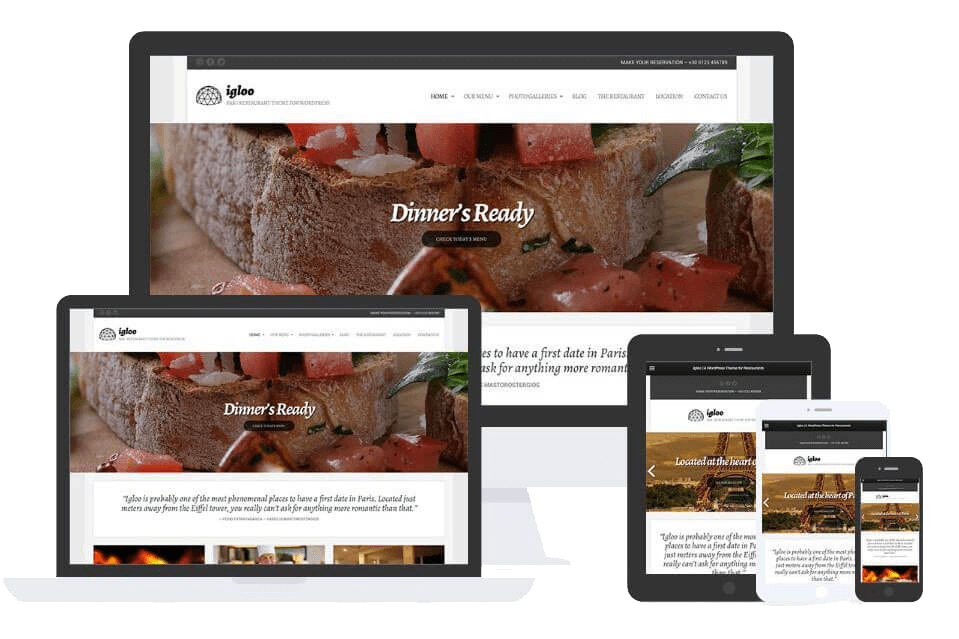 Igloo Theme by Css Igniter Themes