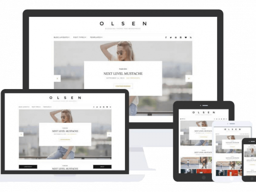 Olsen Theme by Css Igniter Themes