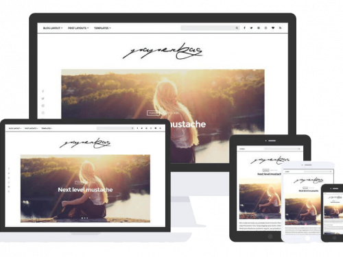Paperbag Theme by Css Igniter Themes