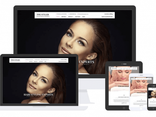 The Styler Theme by Css Igniter Themes