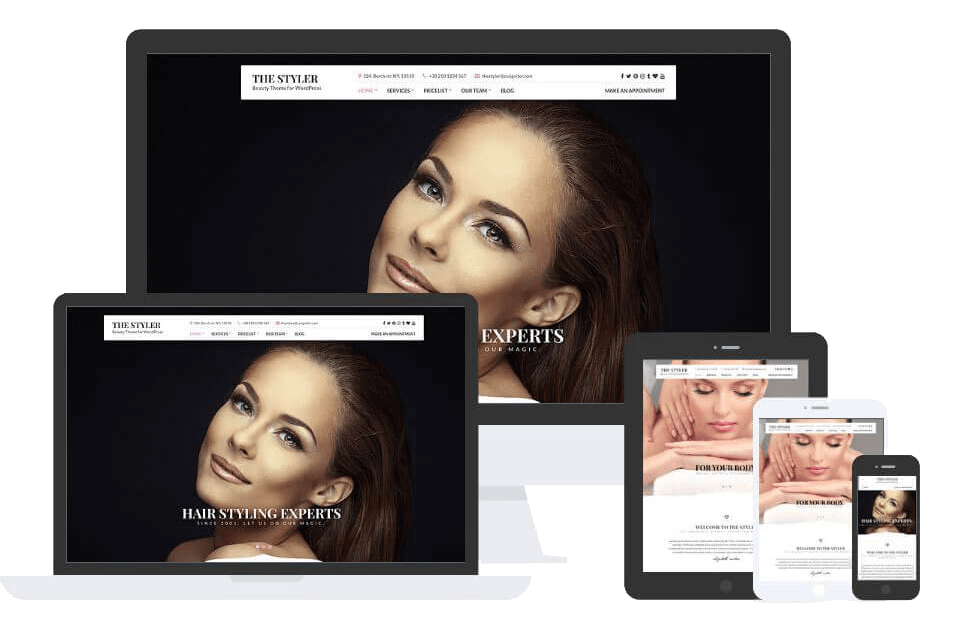 The Styler Theme by Css Igniter Themes