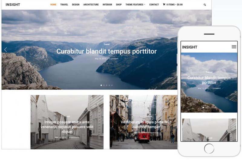 Insight Wordpress Theme by WPZOOM