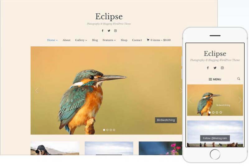 Eclipse Wordpress Theme by WPZOOM