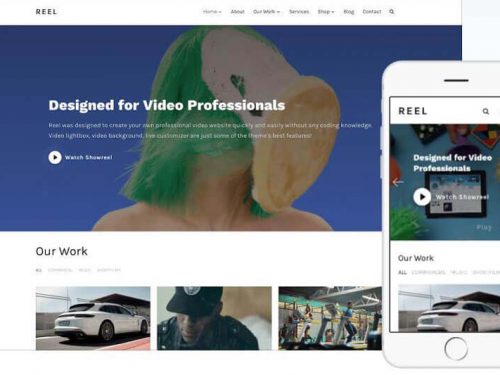 Reel Wordpress Theme by WPZOOM