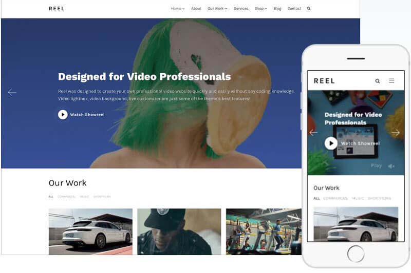 Reel Wordpress Theme by WPZOOM