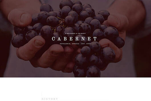 Elementorism Cabernet Landing Page Template