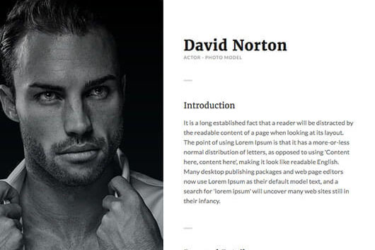 Elementorism Egoist Landing Page Template