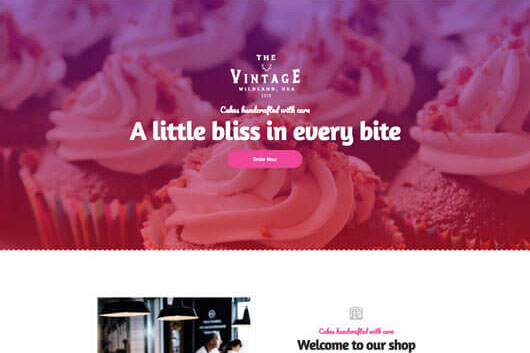 Elementorism Vintage Landing Page Template