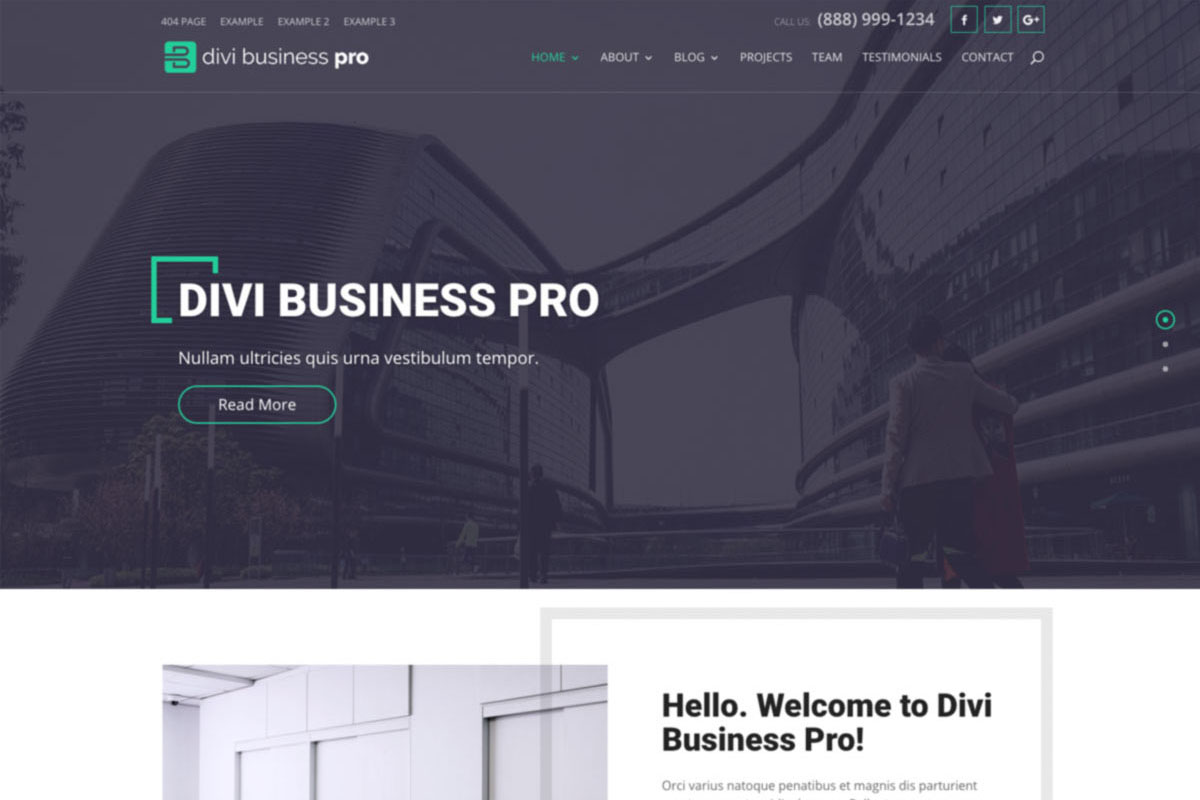 Divi Business Pro Theme
