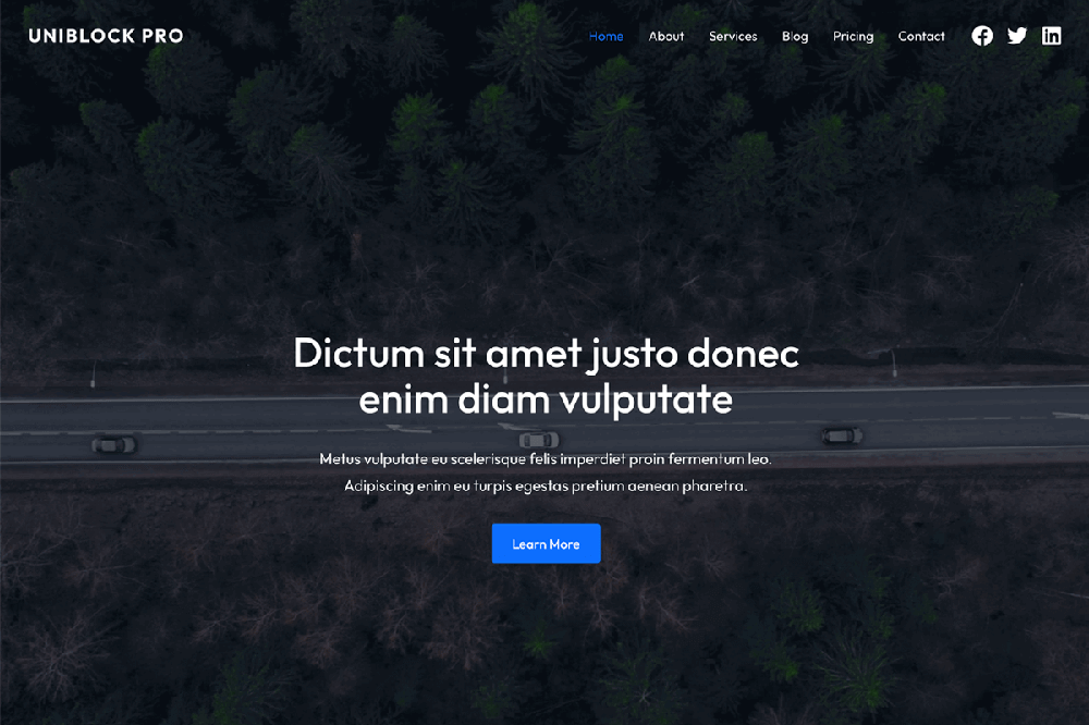 UniBlock PRO Theme by WPZOOM