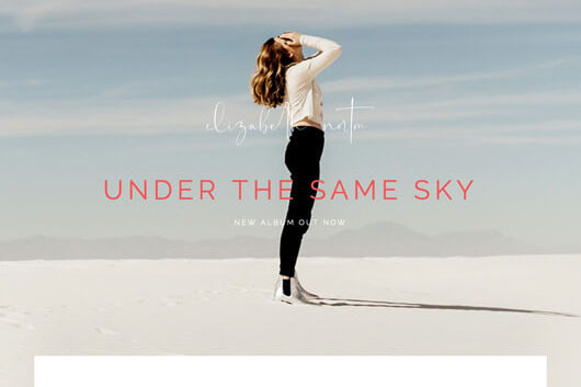 Elementorism Norton Landing Page Template