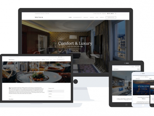 Moliere Theme by Css Igniter Themes