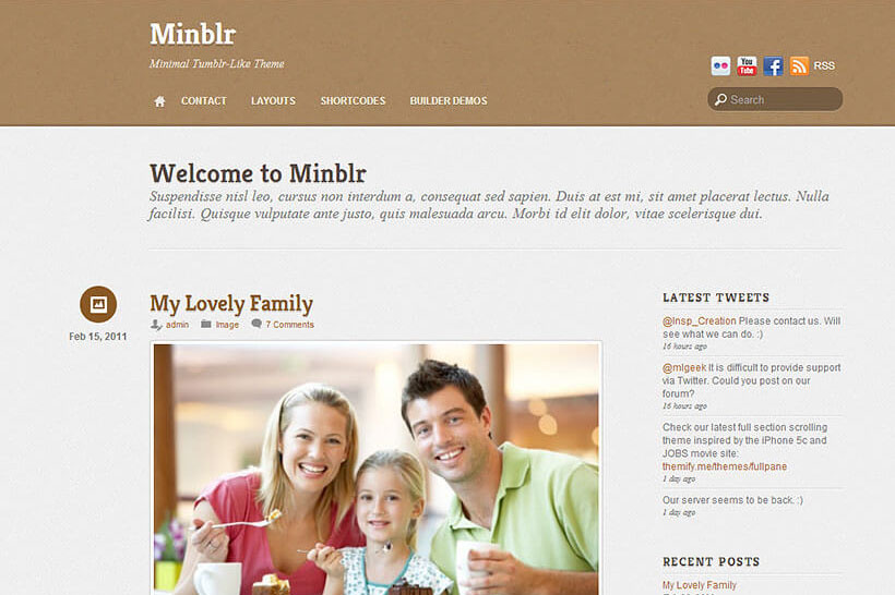 Minblr Wordpress theme by Themify