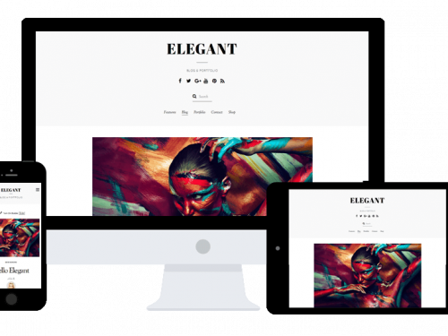 Elegant Wordpress theme by Themify