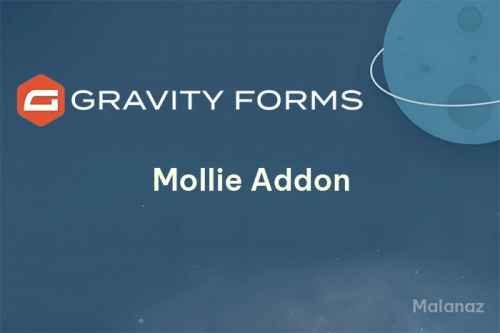 Gravity Forms Mollie addon
